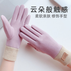 Women's Autumn/Winter Warm Gloves Touchscreen Soft Comfortable High Elasticity Stylish Mink Velvet Riding Lady Gloves