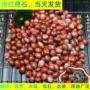 南京宝藏水培玛瑙石材