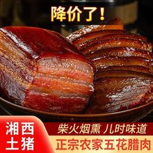 DĴخaؘ䟟ѬiȟѬ廨һll