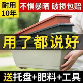 花盆长方形种菜盆莓蔬菜种植箱防晒一件代发厂家批发一件批发