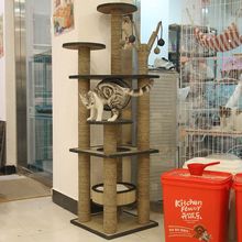 ؈����؈�C؈��һ�w؈��؈ץ������؈������С��؈���ӌ�ľ������