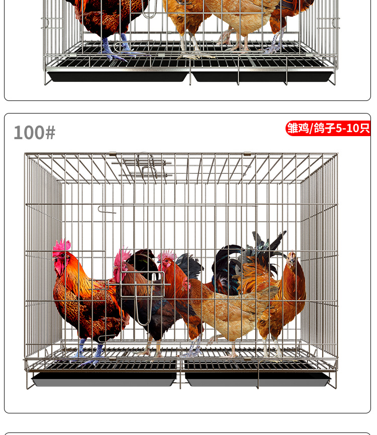 鸡笼子建模_16