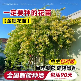 盆栽;其他园林资材;栽培基质