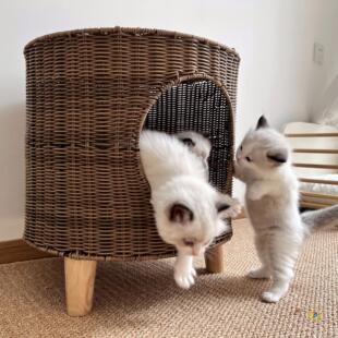 &reg;؈�C��ů����]�پ����C����������Ʒ؈�\����C���_͸���ļ�ͨ