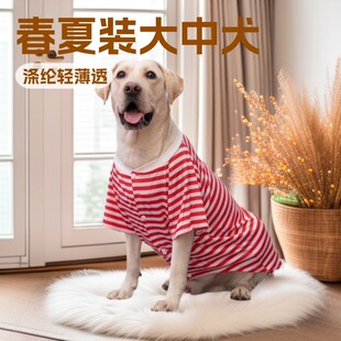 �д���Ȯ�����b�l�y�·���Ȯ��ë���A��@Ȯ���K��ë���·����l