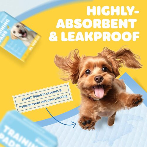Disposable Pet Training Potty Supplies Wholesale Pet Urinary Pads Dog Water Absorbent Odor Control Mats