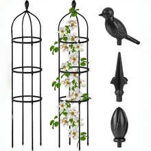 欧式爬藤花架月季蔷薇番茄攀爬架花园户外装饰园艺植物支架亚马逊