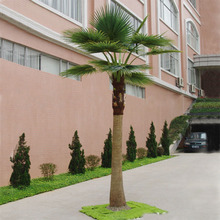 仿真蒲葵树老人葵树 人造华盛顿棕榈树 酒店机场室内造景棕榈树