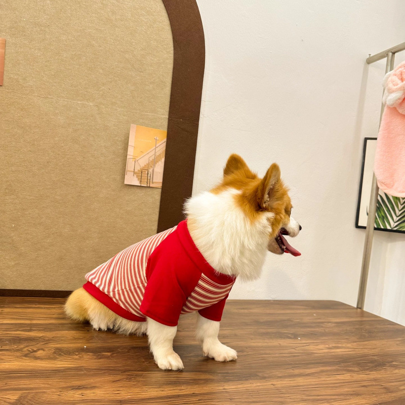 Perro de mascota primavera y otoño ropa Corgi perro calentamiento ocio tracción rayas camisetas de cuello redondo