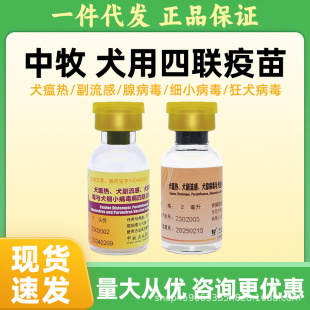 Chinese Shepherd Dog Quadruple Vaccine Breeding Dogs Prevention of Canine Distemper Small Meat Dog Epidemic Prevention Puppy Adult Dog Vaccine