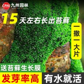 其他园林工具;园艺工具;栽培基质