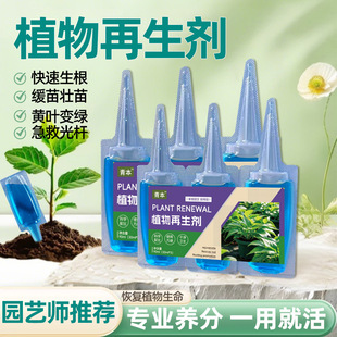 Plant Regenerator Universal Plant Resurrection Nutrient Solution Green Plant Potted Flower Yellowing Flower Pot Water-Soluble Fertilizer