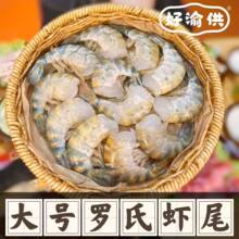 好渝供大号罗氏虾尾500g罗氏沼虾大虾尾速冻大头虾精品火锅食材