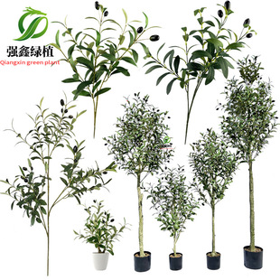 �ϙ��~ ���������ϙ���辰��֧�ϙ�֦�����G�~��֦������Է���