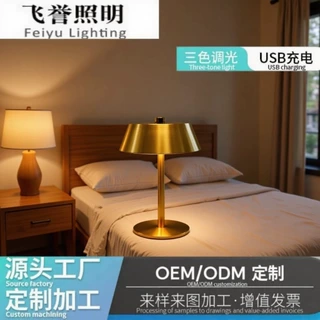 定制新款台灯调光充电便携式北欧创意卧室床头氛围装饰小智能夜灯