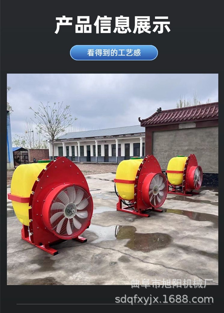 详情 (11).JPG