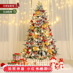 クリスマス模擬暗号化クリスマスツリーセットPE植毛1.5/2.11.8大型家庭用降雪装飾手作り
