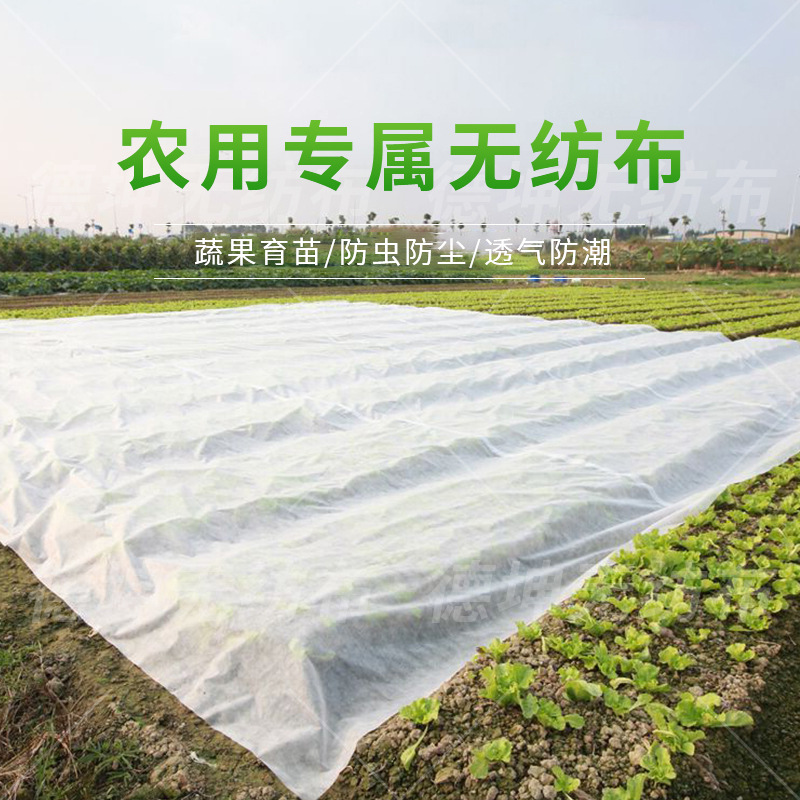 厂家直供纺粘无纺布SS聚丙烯农业水稻育秧苗铺底固根不散苗可降解