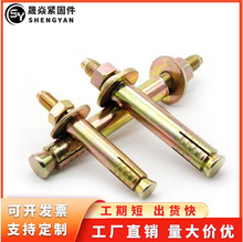 电梯专用膨胀螺栓国标壁虎螺丝加重加厚型拉爆金属锚栓8M10M 12M1