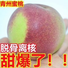 現摘貨山東青州桃毛桃水蜜桃5斤脆甜桃子新鮮當季孕婦雪桃