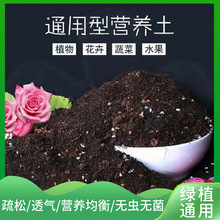 Ӫ��������������ֲ���ֲ��ֻ����Լ��÷��϶����л���ֳ��Ӫ����