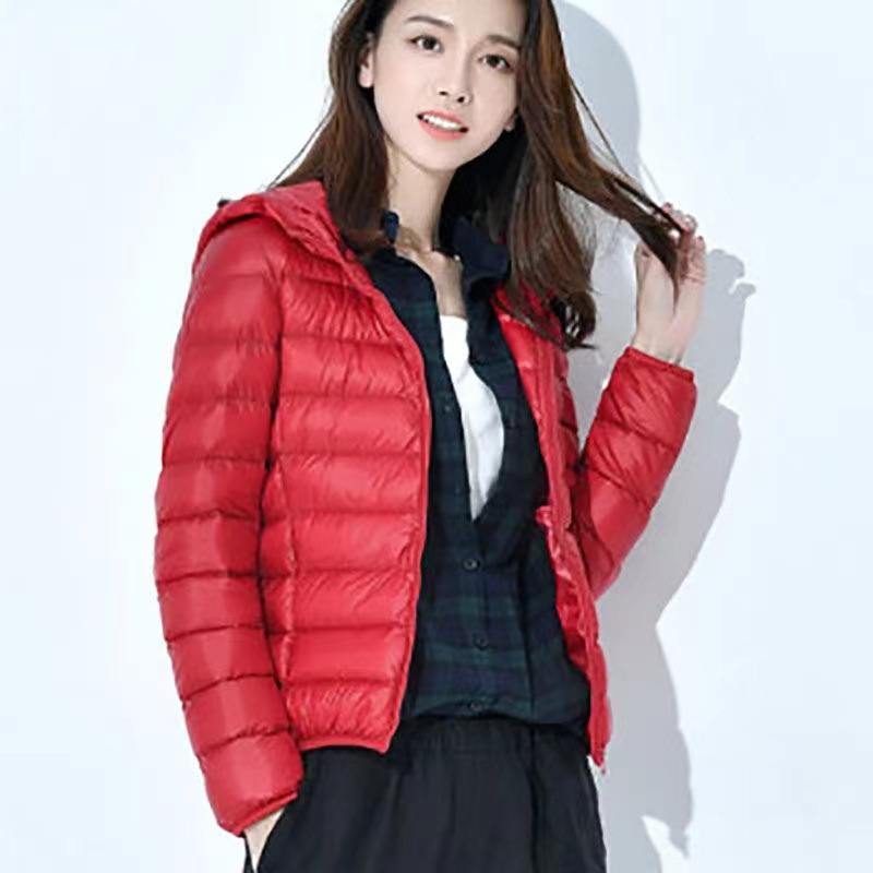 Chaqueta Corta de Algodón para Mujer Transfronteriza 2024, Estilo Coreano Ajustado, Modelo Delgado, Capa de Algodón Lluvia de Seda, con Capucha, Mayorista