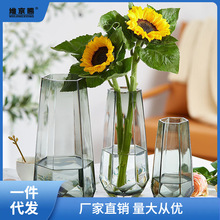 水养植物花盆创意简约ins玻璃花瓶透明百合干鲜花地中海花瓶