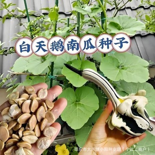 �����Z�ϹϷN���^�p�Ϲ�����ɫ���С�Ϲ��߲�ͥԺ�^�p�ļ�