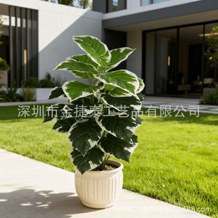 ���R�d����Gֲ18�^�����~�S�����l�G�}�^�z���~�Ҿ��b��쾰����