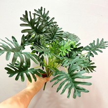 ����ˮ���~�辰�����b������~�����~�����澫Ʒ�Ϲ���ֲ����