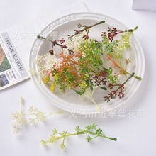 ����ֲ����滨��������С�� ʥ������װ�ι�ʵ С�����������