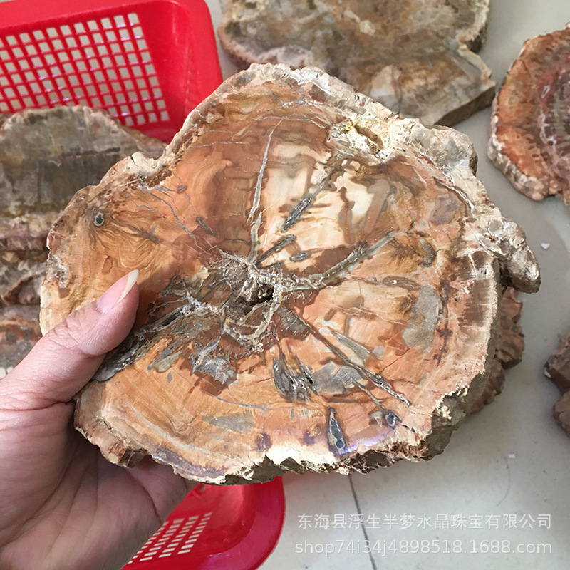 Natural Fossil Wood Pieces Ornaments Treated Jade Raw Stone Slices Paleontological Fossils Home Office Tea Cup Mat Natural Fossil Wood Pieces Ornaments Treated Jade Raw Stone Slices Paleontological Fossils Home Office Tea Cup Mat