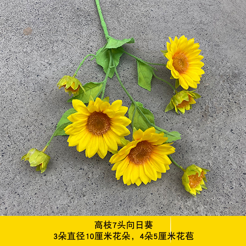 7개의 머리가 있는 키가 큰 해바라기 - 노란색