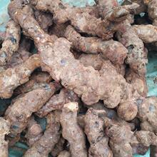 ���r������500�ˏV�|ꖴ��خa�F���������Ҝ��r��Ӳ��^���]���]