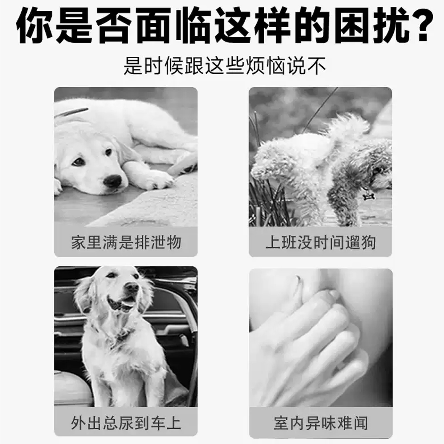 Almohadilla para perros engrosada desodorante y absorbente de agua Almohadilla para pañales para mascotas Almohadilla absorbente Pañales para gatos Pañales desechables