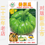 姜柄瓜种子 姜饼瓜种籽 小麦瓜 僵瘪瓜 小绿面瓜 花盘磨盘南瓜籽