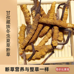 �Ĵ����β��嶬�x�Ĳݵͺ��� �Ǹߺ��ζ��x�Ĳ� ���x�ݶ��x�ݔ��