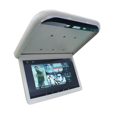 VOD system 19 inch: Car TV
