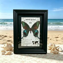 ���S���l������˱���� ��Ʒ�[��  �Wʽ�͹ź����˱��b� �Y��