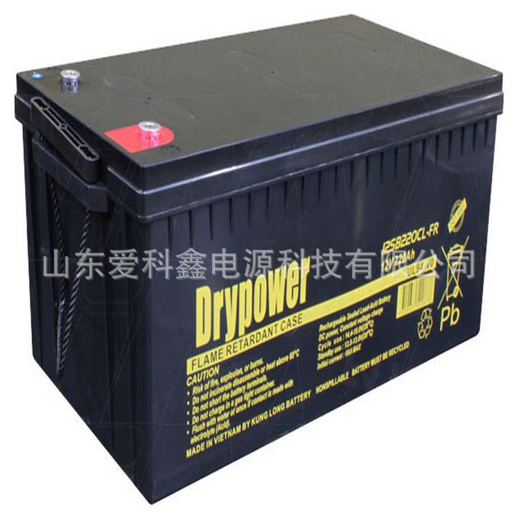 Drypower蓄电池 12GB220CL-FR 12V220AH 铅酸储能电池