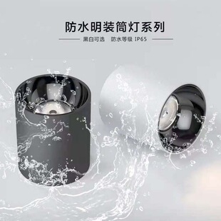 IP65��ˮ���bͲ�������̨����ԡ�ґ����ˮ���ʽ���b�����܇վ