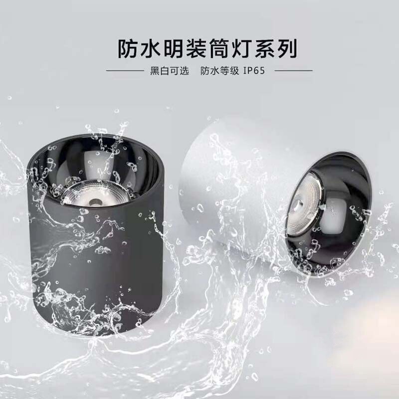 IP65 Waterproof Overmount Downlight Corridor Balcony Canopy Bathroom Outdoor Waterproof Ceiling Overmount Spotlight Railway Station IP65 Waterproof Overmount Downlight Corridor Balcony Canopy Bathroom Outdoor Waterproof Ceiling Overmount Spotlight Railway Station