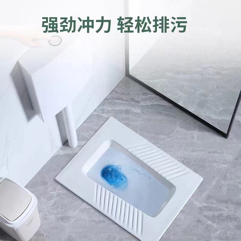 inodoro de cuclillas domésticas gran tamaño inodoro de cuclillas inodoro de cuclillas inodoro de cuclillas inodoro de cerámica de gran impulso desodorante