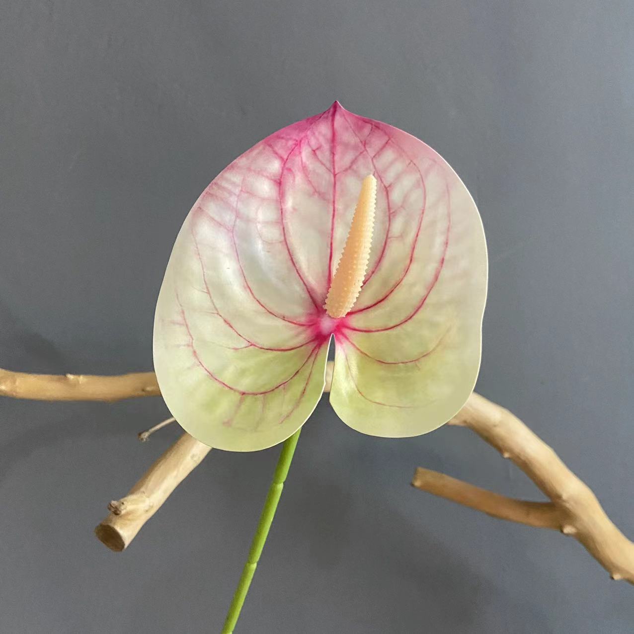 #5 (색상 당 10 스틱 픽업, 덜 쏘지 마십시오)