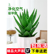 �J�C�����҃ȳ���ȩ�����՚�Gֲ���k���������ļ����B����������
