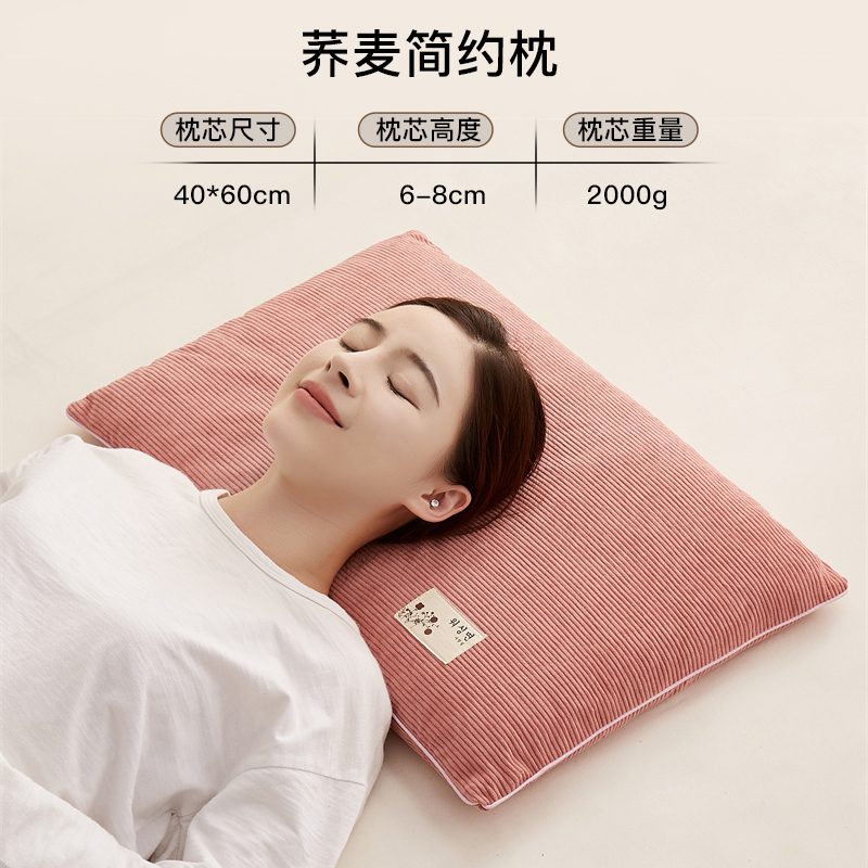 ZX buckwheat simple pillow-leather powder LEKE40*60