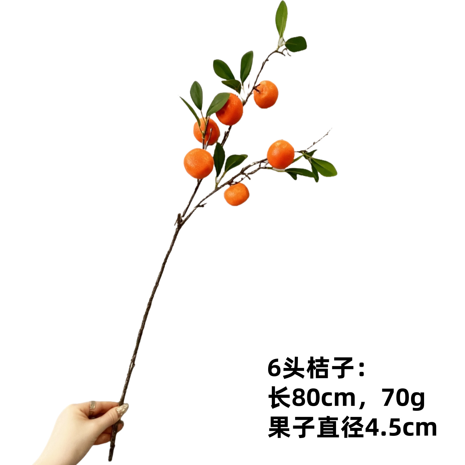 오렌지 가지 6개