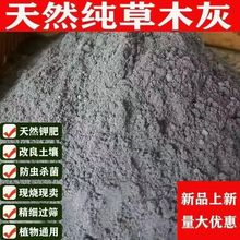 ��ľ���ЙC���ψ@ˇ�Nֲ�I�B��Ȼ�����B���N�ˌ��÷�������������