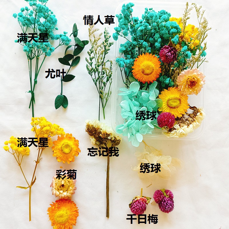 微信图片_202207261706362