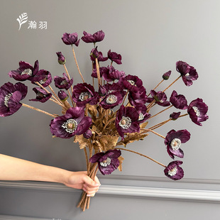 �羳��ɫ�����˷��滨 ֲ�q���ڻ���c���üҾ��b�Y���l